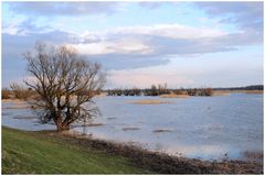 Donau Auenlandschaft - Kopatschki Rit