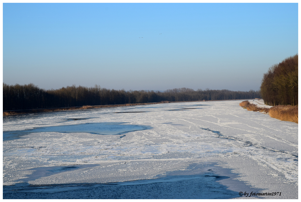 Donau bei Bindheim im Winter (11)