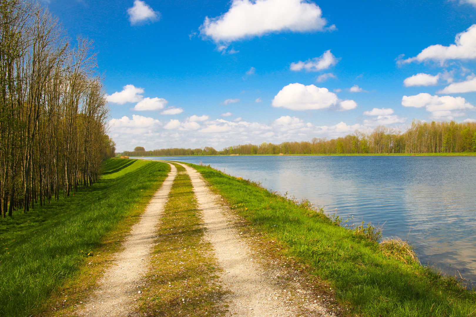 Donau bei Gremheim