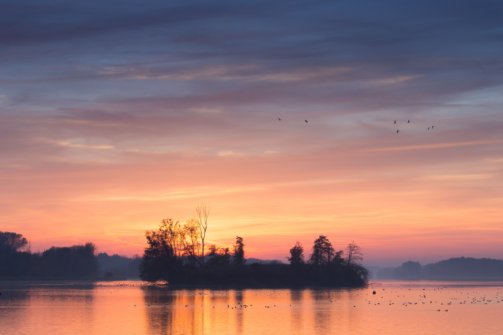 Donau bei Ingolstadt