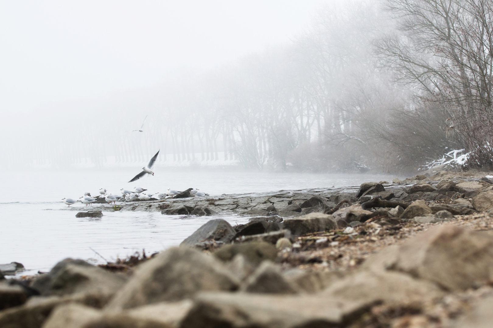 Donau bei Metten