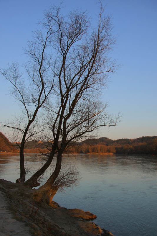 Donau bei Passau