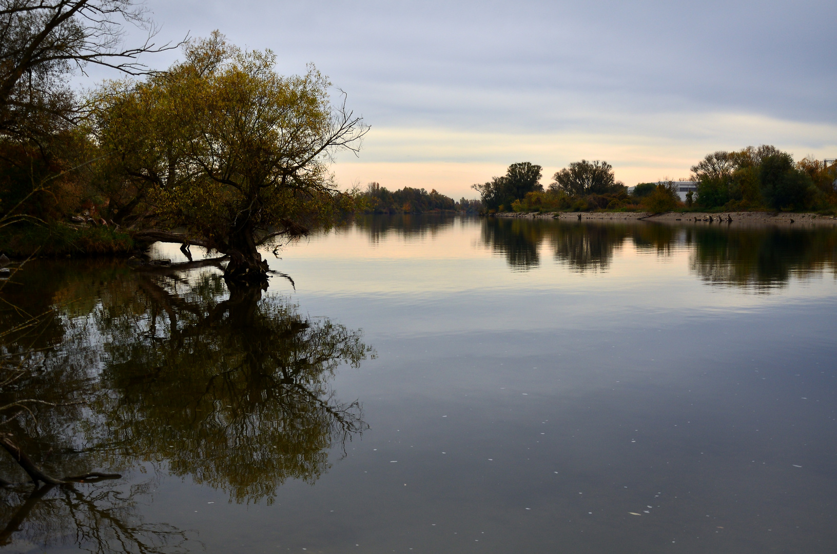 Donau bei Schwabelweis