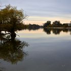 Donau bei Schwabelweis