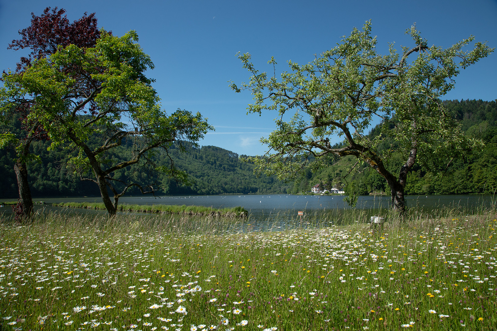 Donau bei Untermühl