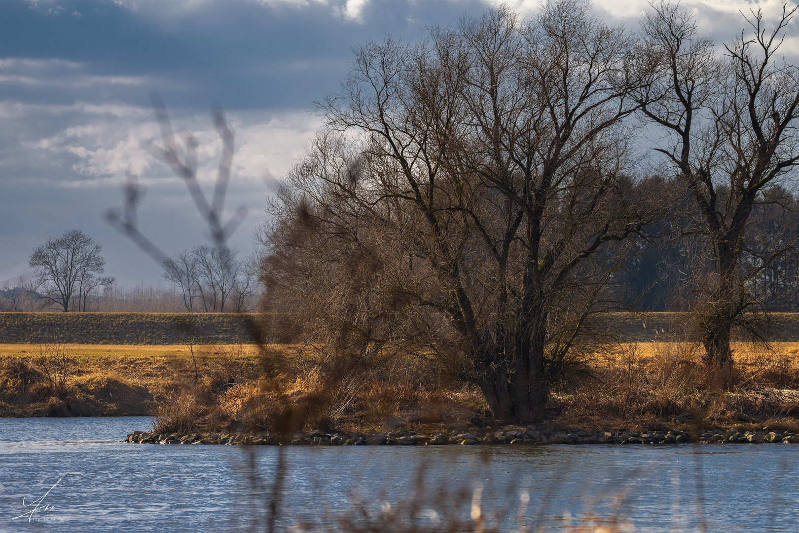 Donau bei Winzer