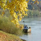 Donau-Blick