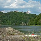 Donau - Blick zum Schloss Neuhaus