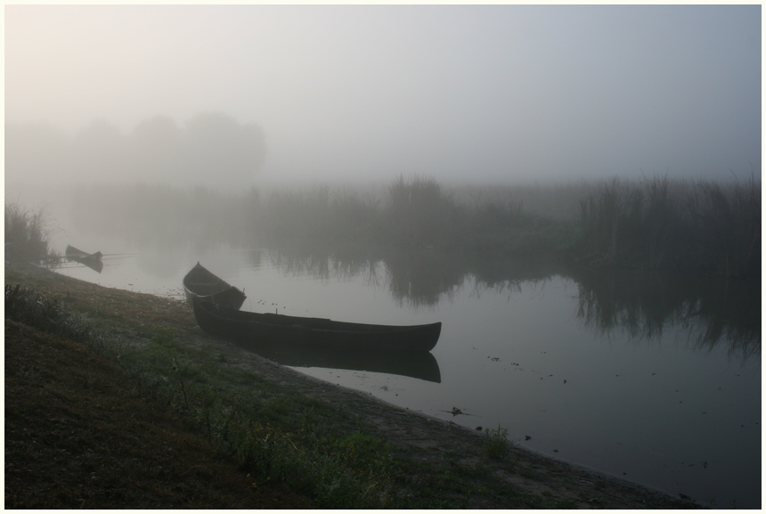 Donau-Delta