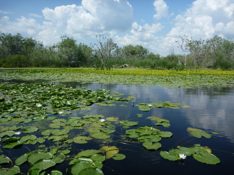 Donau Delta Rumänien