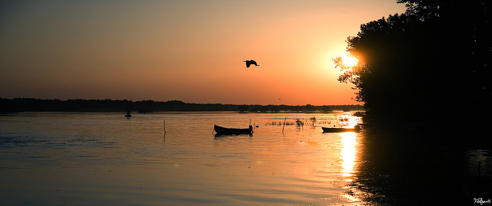 Donau Delta um 6 Uhr früh