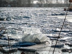 Donau Eisgang