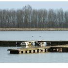 Donau erwachen nach dem Winter