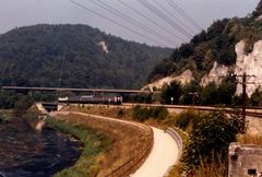Donau forever