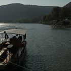 Donau im Gegenlicht
