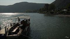 Donau im Gegenlicht