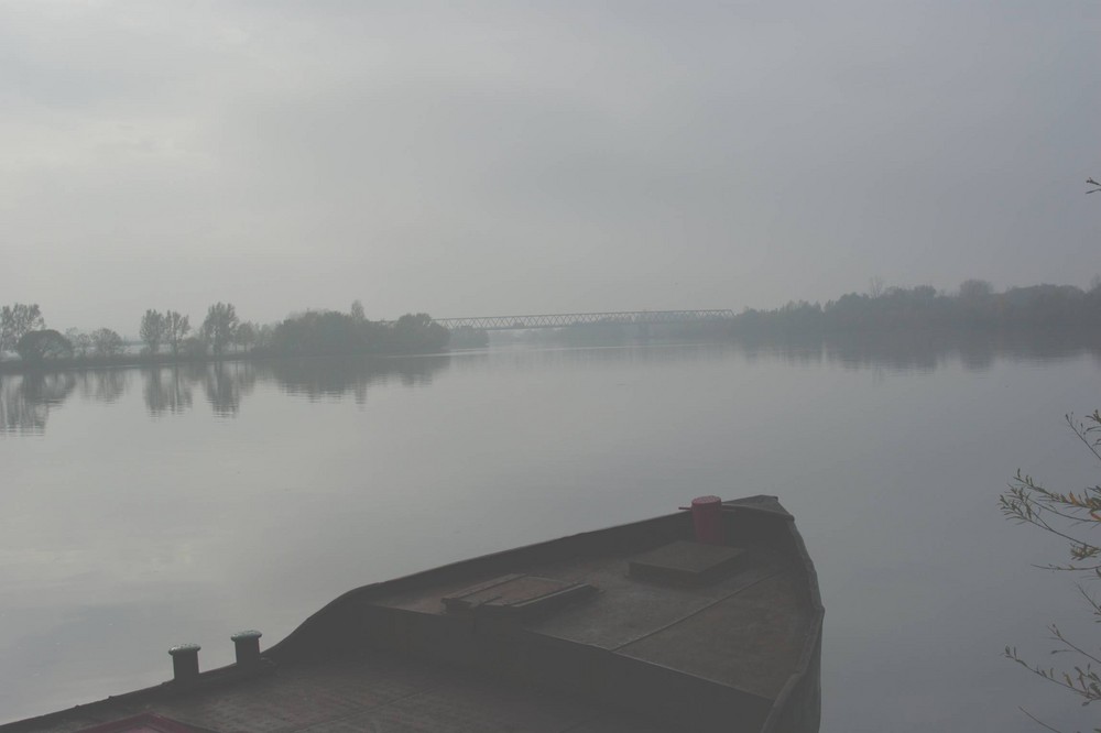 Donau im Herbst