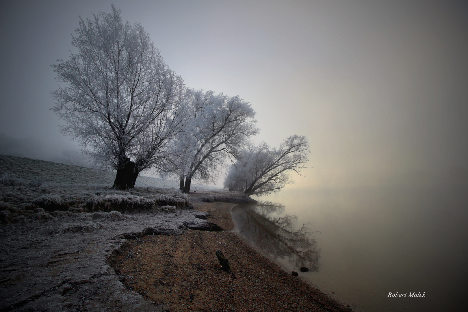 Donau im Nebel