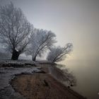 Donau im Nebel