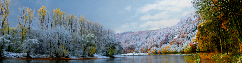 Donau im Wandel