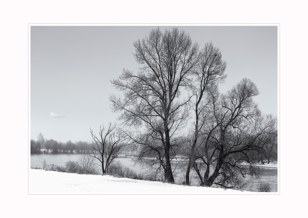 Donau im Winter