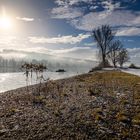 Donau im Winter