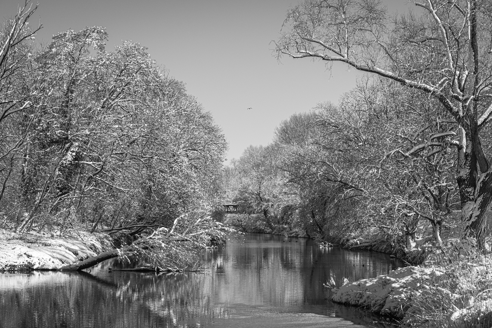 Donau im Winter