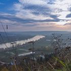 Donau in Regensburg