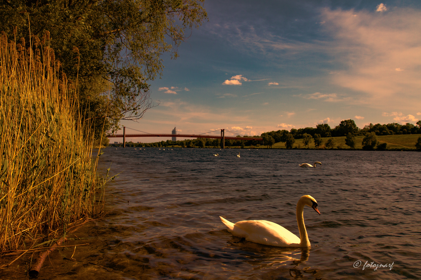 Donau Insel