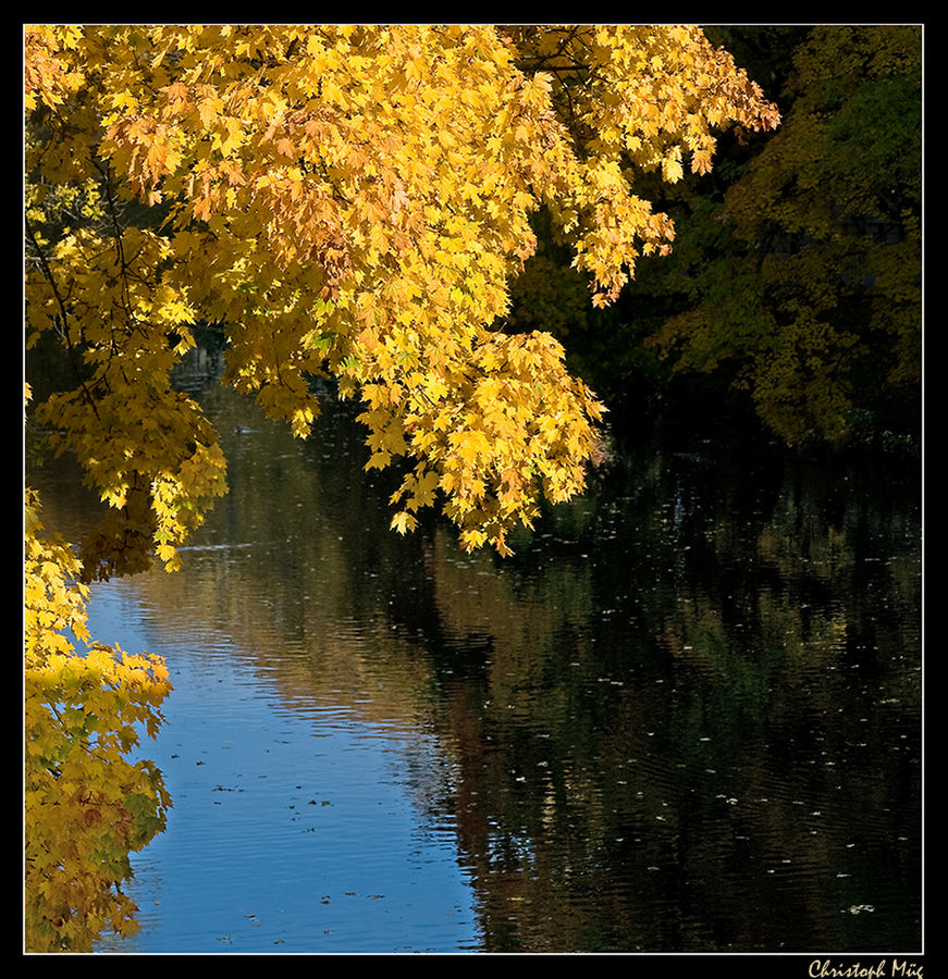 Donau-Laterne