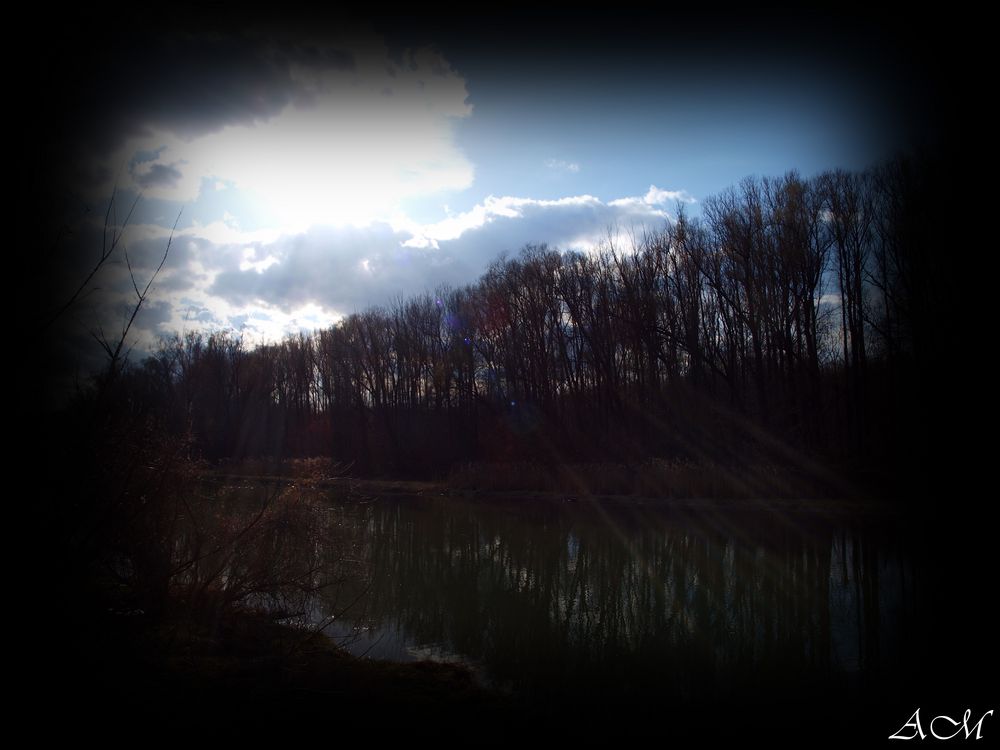 Donau Nebenarm im Sonnenschein....