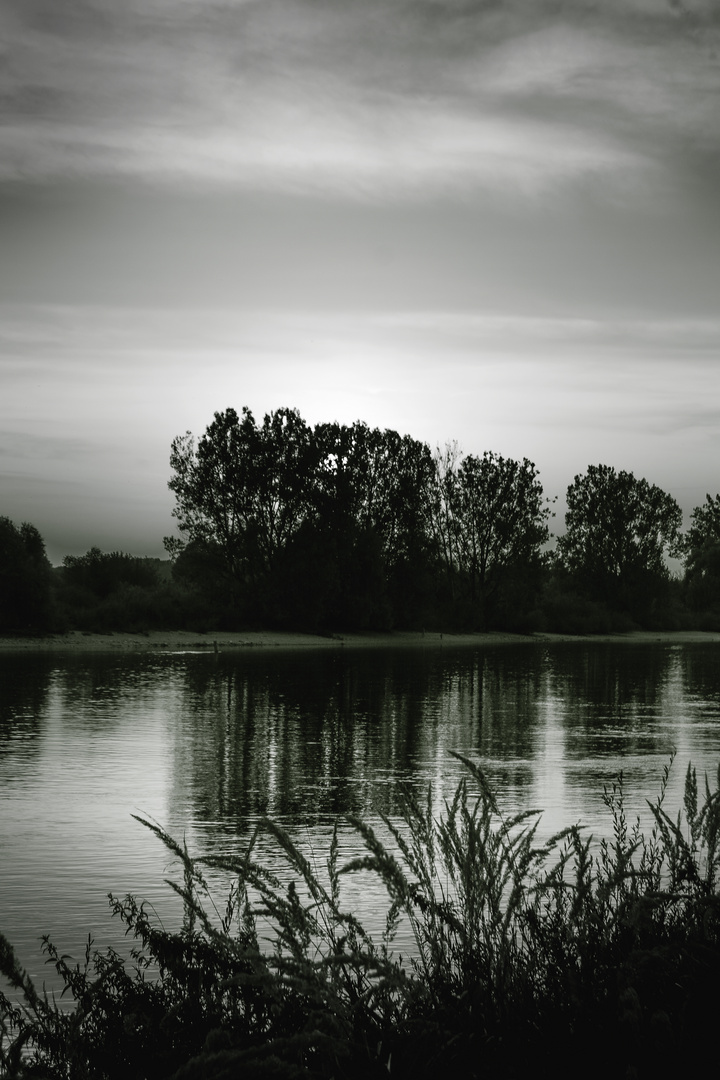 Donau - nicht ausgebaut ... (Bayern)