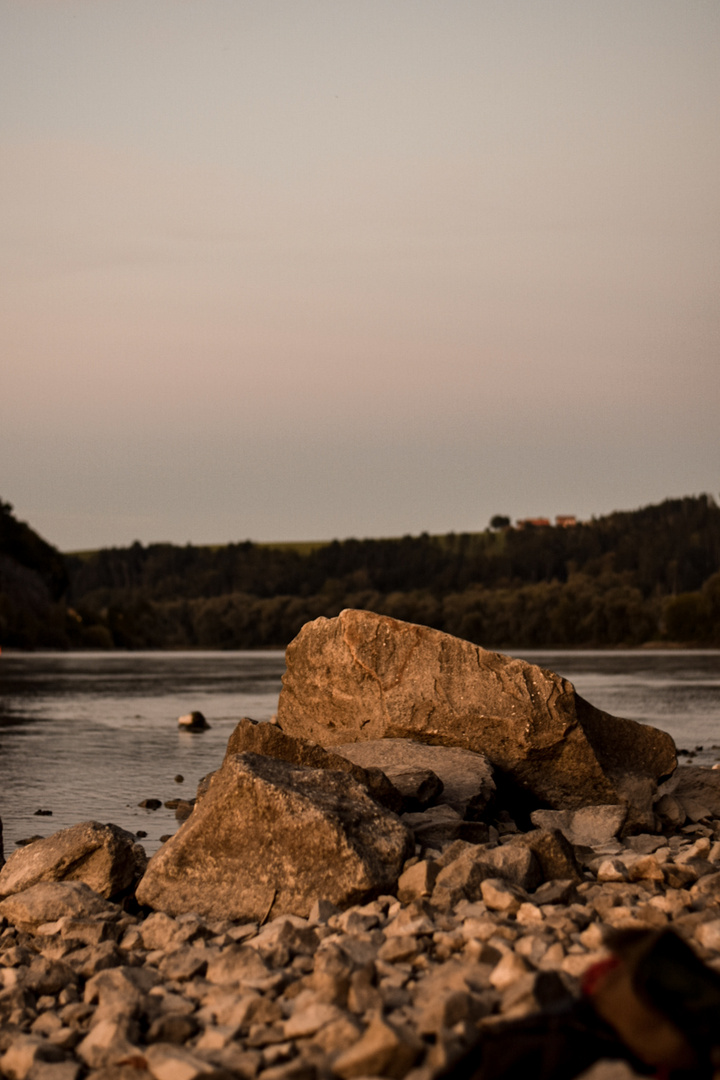 Donau - Portrait