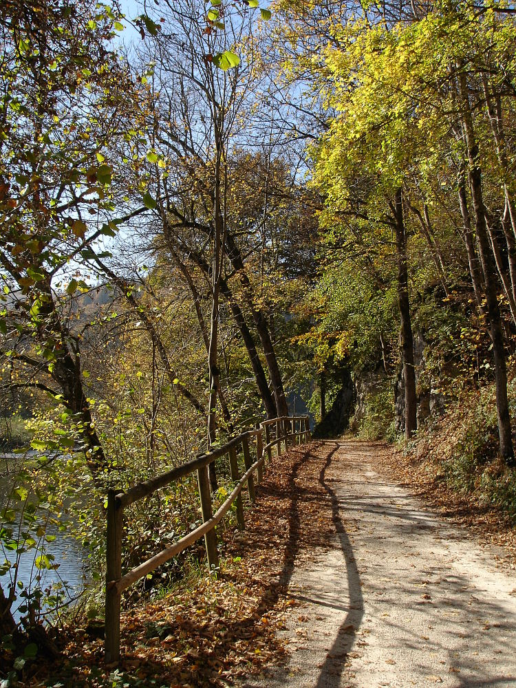 Donau Radweg...