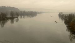 Donau-Ruderer