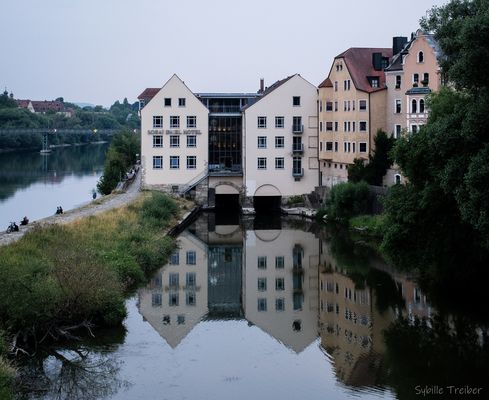 Donau-Spiegelung
