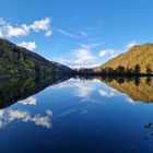 Donau Spiegelung