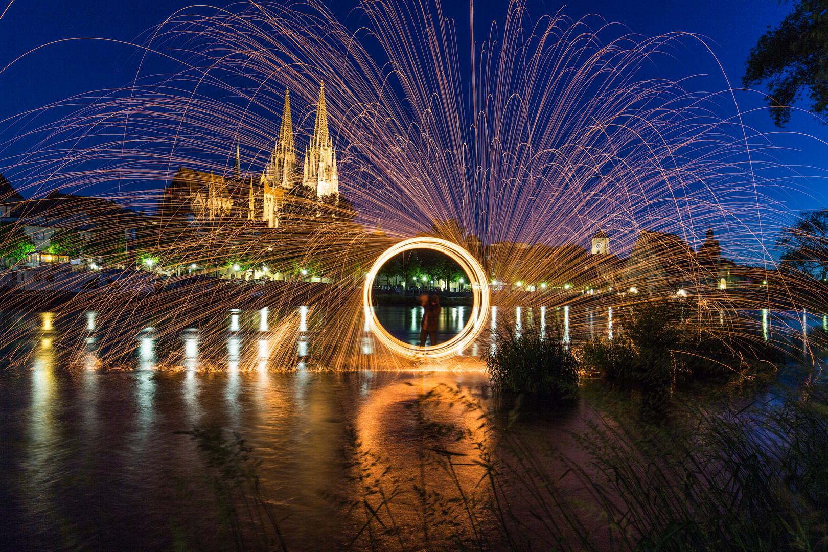 Donau Steelwool 