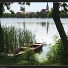 Donau-Ufer bei Ráckeve