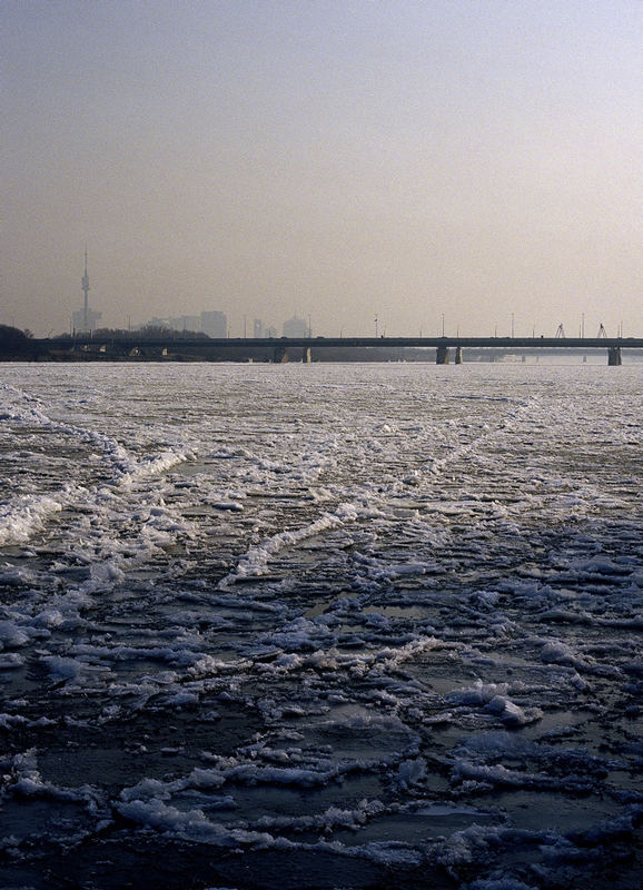 Donau, wie ich sie noch nicht gesehen habe 5