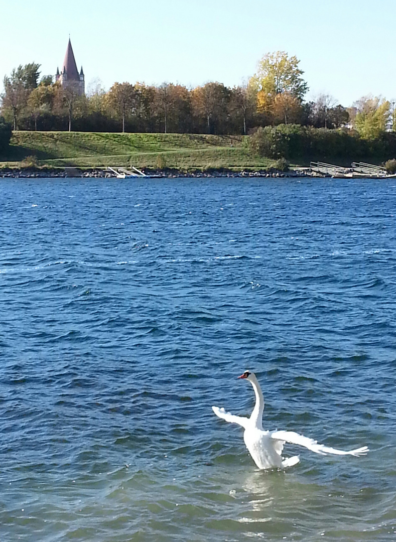 Donau Wien