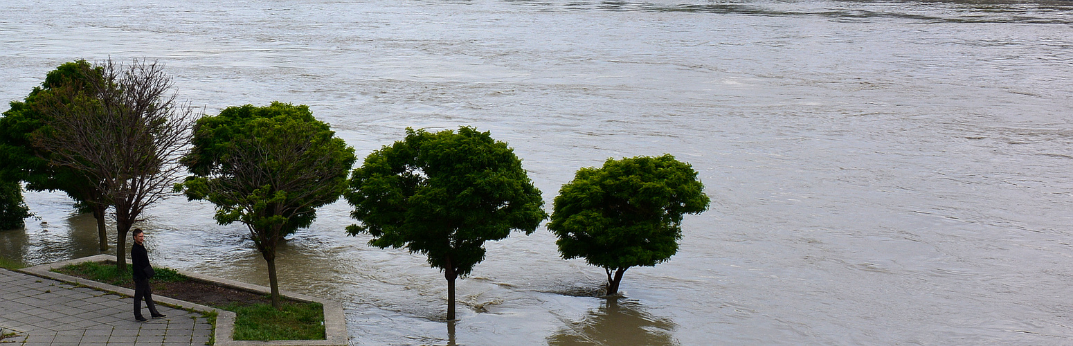 Donau Wien Juni 2013