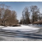 Donaualtwasser im Winter