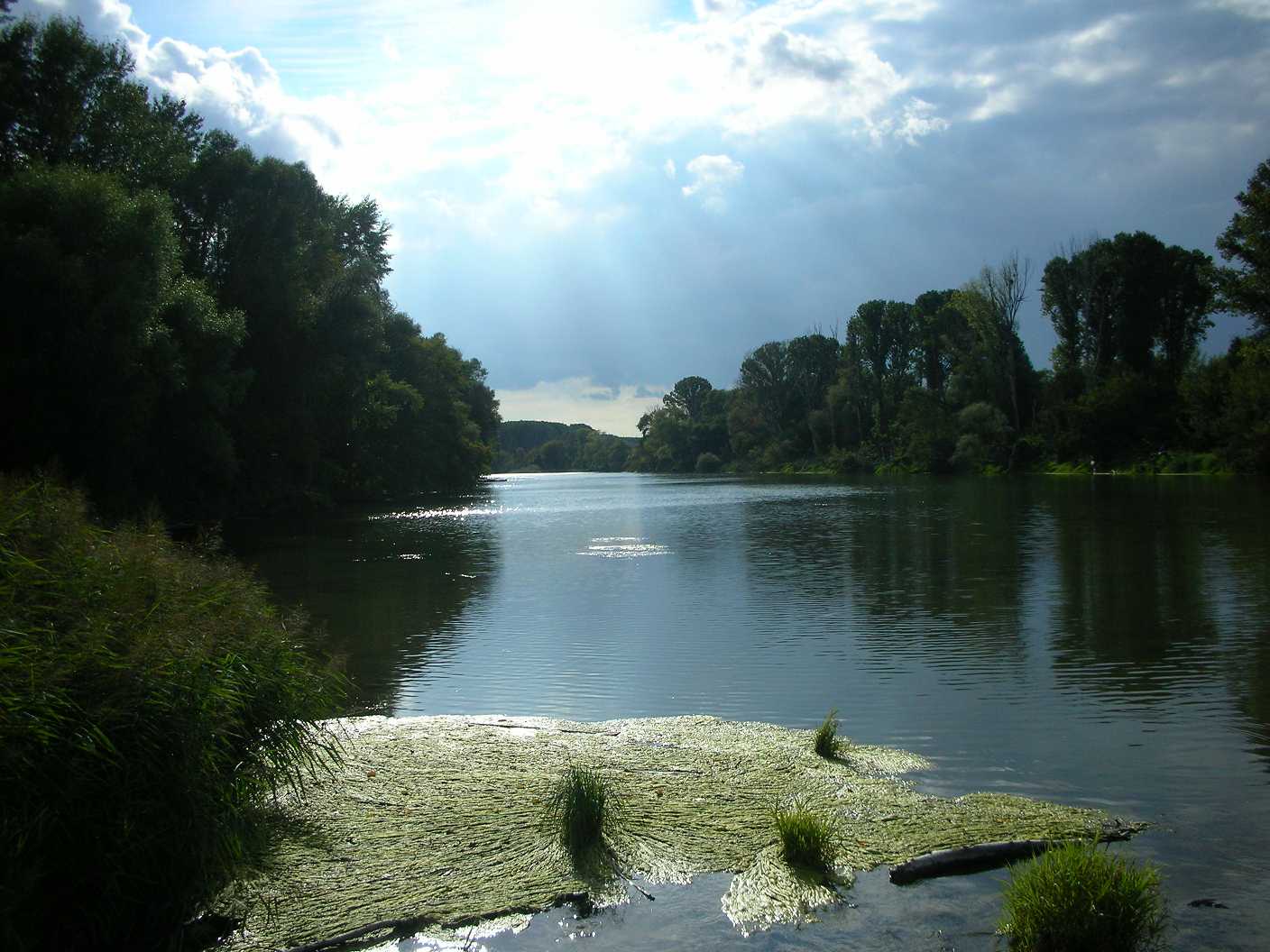 Donauauen