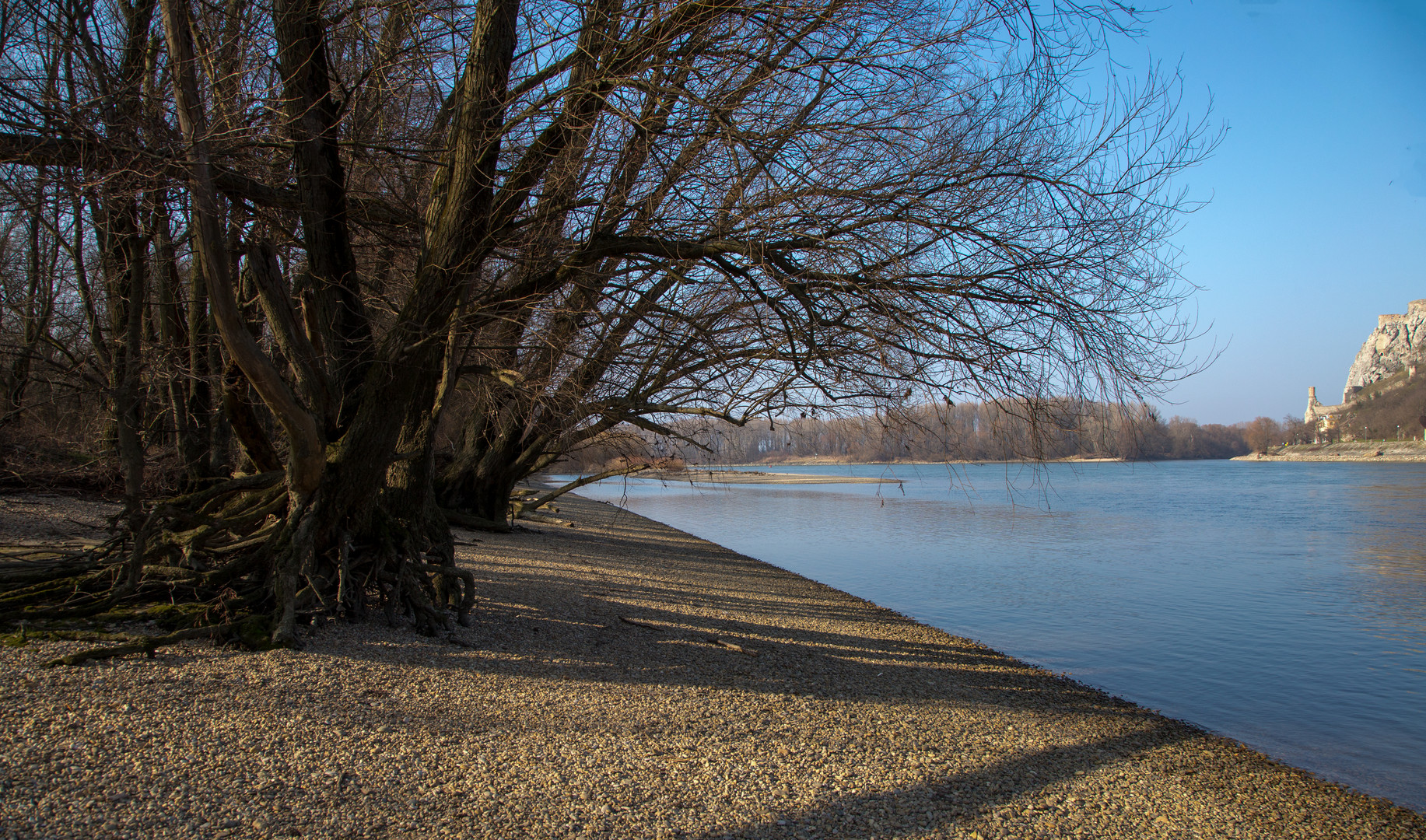 Donauauen bei Hainburg