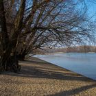 Donauauen bei Hainburg