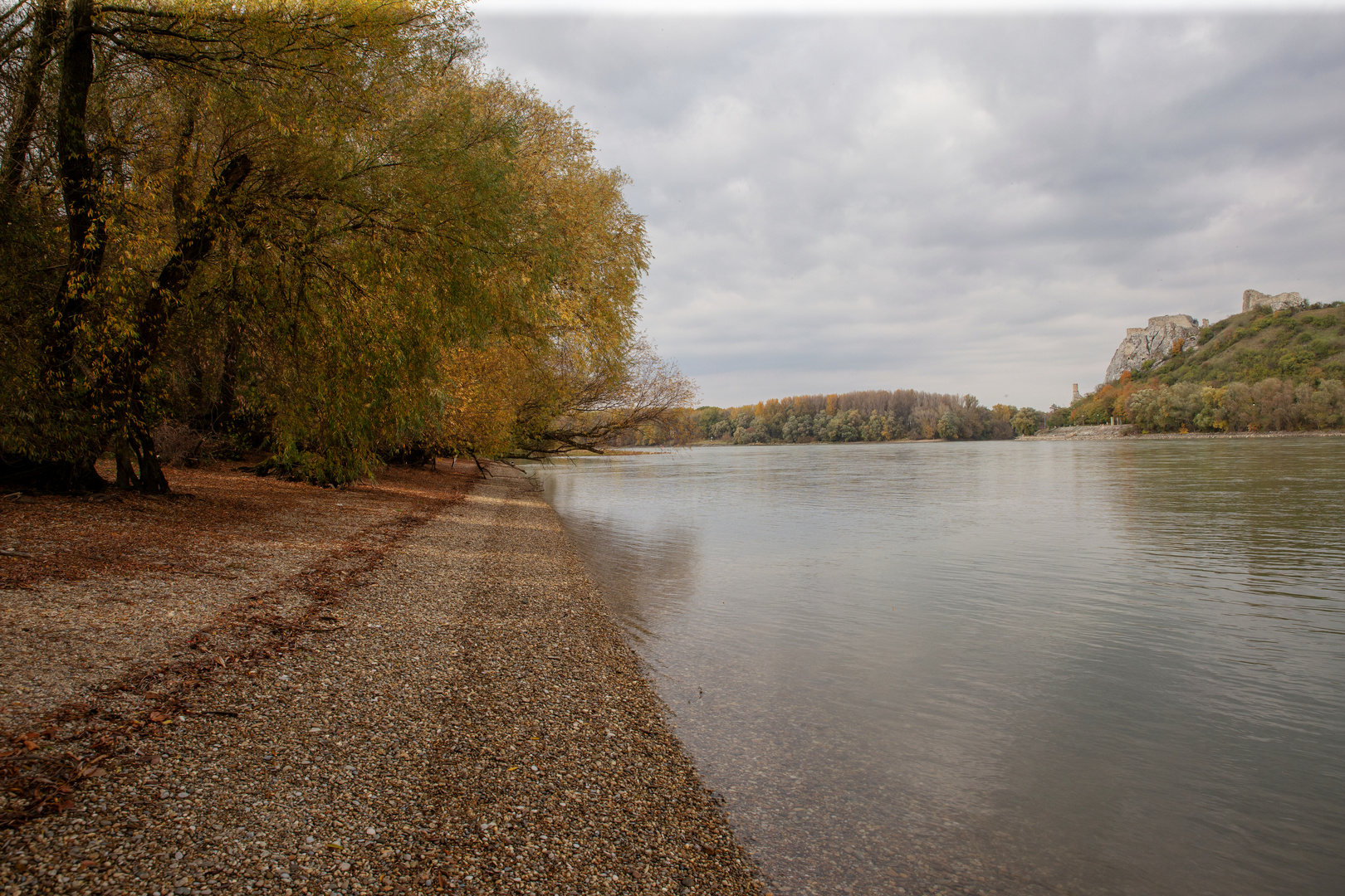 Donauauen bei Hainburg