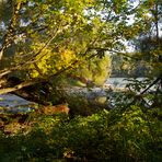 Donauauen Herbstfarben 2014