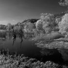 Donauauen IR