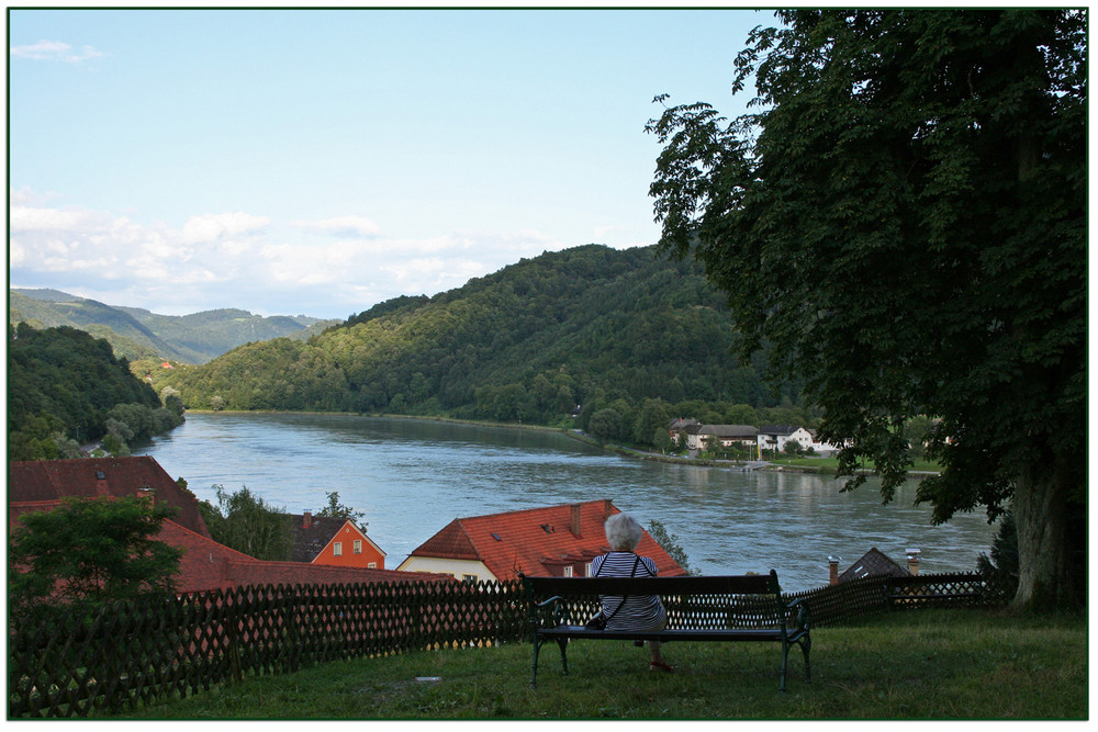 Donauaussicht bei Grein